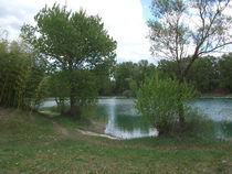 Etang de Thil