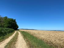 Sentier de la Côte Michon - Les Echets