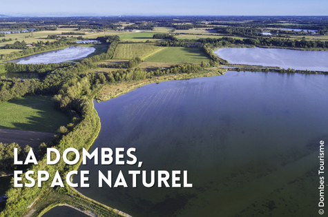 Vignette de la Dombes, espace naturel Natura 2000 près de Lyon