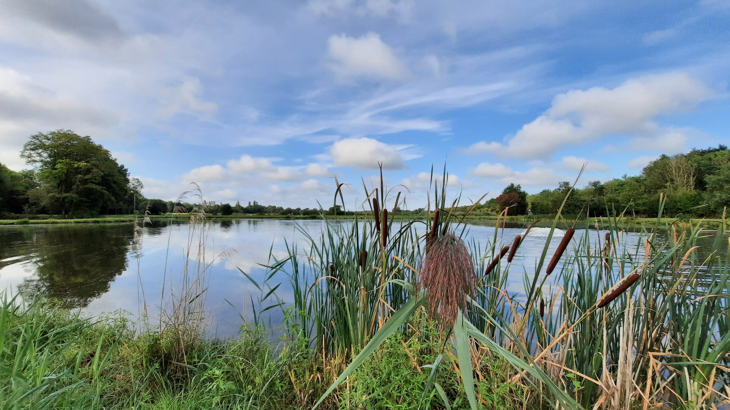 Les étangs de la Dombes Côtière près de Lyon et Miribel, zone Natura 2000