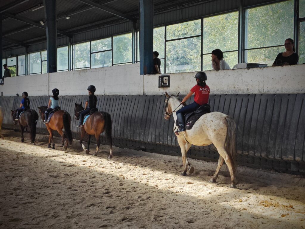 Balade à poney