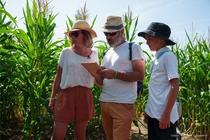 Pop Corn Labyrinthe Lyon_Neyron